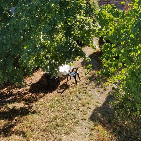 Rendez-Vous Sous Le Tilleul, En Cevennes. Molieres-Cavaillac Εξωτερικό φωτογραφία